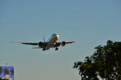 DSC_5705 (Large).JPG